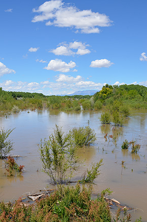Hi water flows in the Rio Grande, May 19, 2017