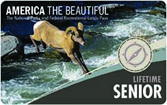 Image of the front of the America the Beautiful Senior Pass - Lifetime