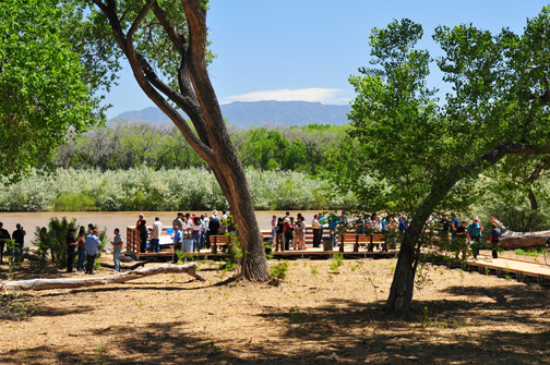 Gathering in the Rio Grande Bosque to look at environmental restoration activities