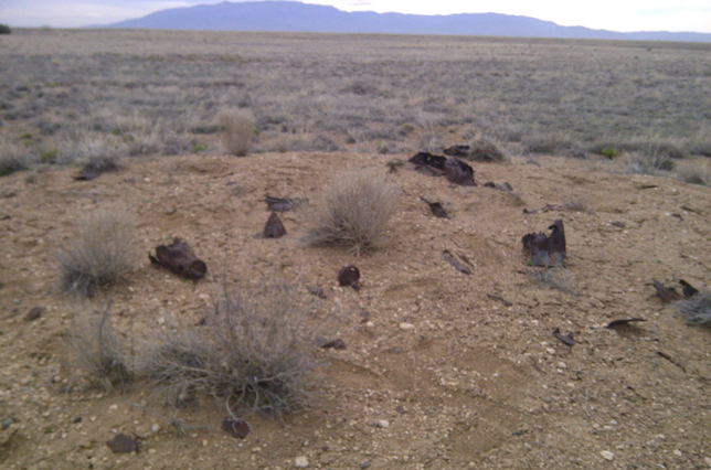 Image is of munitions debris scattered across the desert. Should you see stuff like this, you have likely wandered onto an old bombing range.