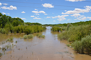 Hi flows in the Rio Grande May 19, 2017